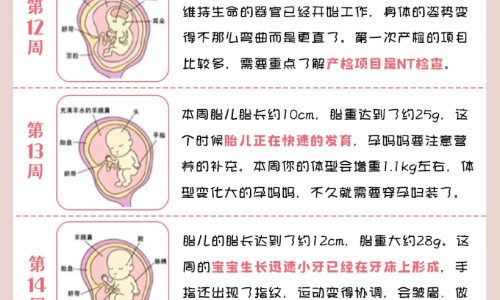胃痛该吃什么食物好网 - 为你提供胃痛该吃什么药、胃痛胃寒吃什么药好得快效果最好